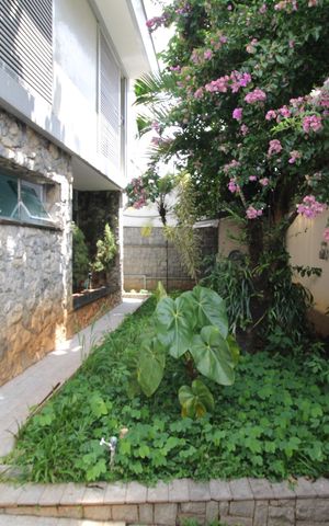Casa para alugar com 360m², 3 quartos e 4 vagasQuintal