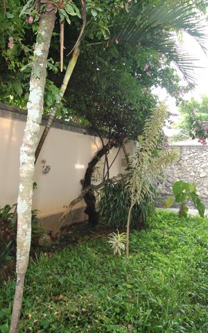 Casa para alugar com 360m², 3 quartos e 4 vagasQuintal