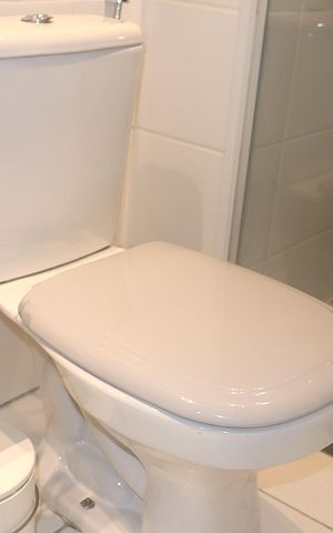 Apartamento para alugar com 33m², 2 quartos e sem vagaBanheiro
