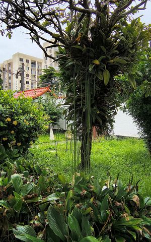 Casa à venda com 742m², 3 quartos e NaN vagas Casa à venda com 742m², 3 quartos e NaN vagasÁrea comum