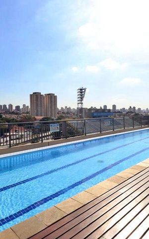 Apartamento à venda com 66m², 2 quartos e 1 vagaÁrea comum - Piscina