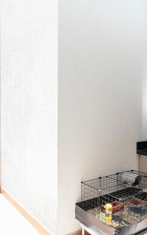 Casa à venda com 284m², 3 quartos e 3 vagasQuintal e área de serviço