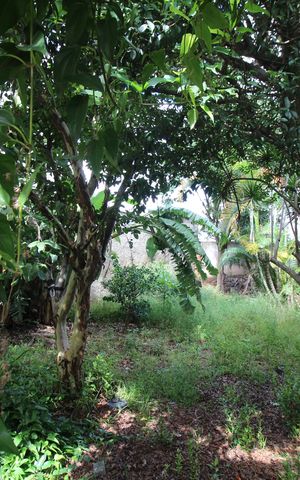 Casa à venda com 316m², 4 quartos e 3 vagas Casa à venda com 316m², 4 quartos e 3 vagasQuintal/Piscina/Jardim
