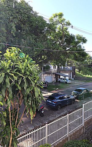 Apartamento à venda com 49m², 1 quarto e 1 vagaVista da rua 