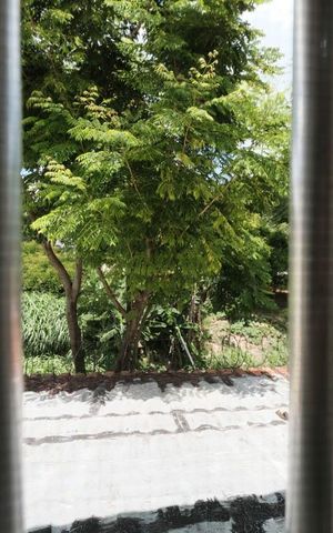 Casa de condomínio à venda com 83m², 2 quartos e 2 vagasQuarto 2