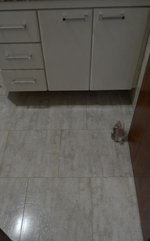 Casa à venda com 250m², 2 quartos e 2 vagasBanheiro da Suíte 1