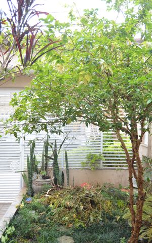 Casa à venda com 250m², 2 quartos e 2 vagasJardim