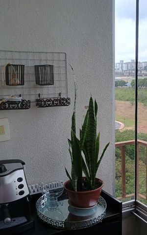 Apartamento à venda com 82m², 3 quartos e 2 vagas Apartamento à venda com 82m², 3 quartos e 2 vagasVaranda