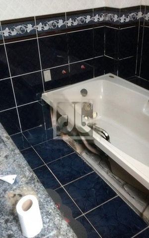 Casa à venda com 338m², 3 quartos e 1 vaga