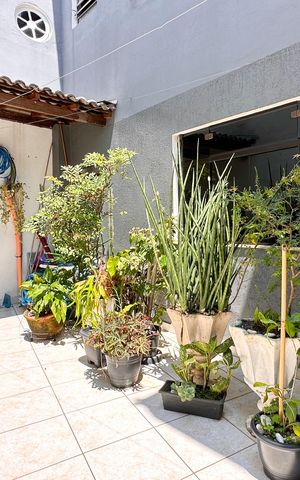 Casa à venda com 260m², 4 quartos e 2 vagas Casa à venda com 260m², 4 quartos e 2 vagasQuintal - Casa 1