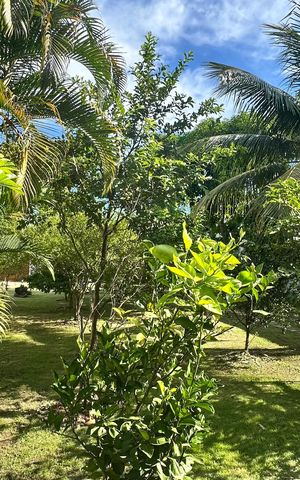Casa à venda com 614m², 7 quartos e 8 vagas Casa à venda com 614m², 7 quartos e 8 vagasÁrea externa