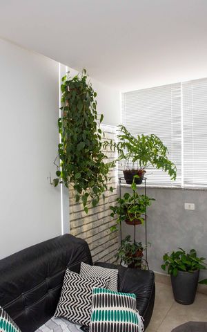 Apartamento à venda com 120m², 3 quartos e 1 vagaCozinha