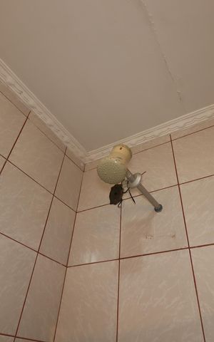 Casa à venda com 400m², 3 quartos e 4 vagasBanheiro da Suíte 1 - Chuveiro