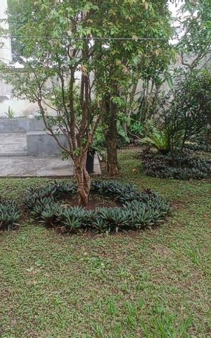 Casa à venda com 246m², 3 quartos e 2 vagas