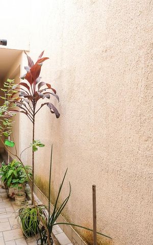Casa à venda com 295m², 4 quartos e 3 vagasCorredor