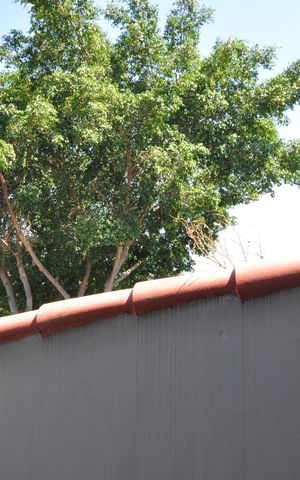 Casa à venda com 234m², 4 quartos e 2 vagasVista do Quarto 2
