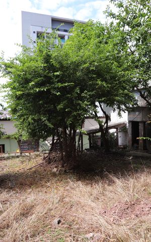 Casa à venda com 250m², 3 quartos e 1 vagaQuintal