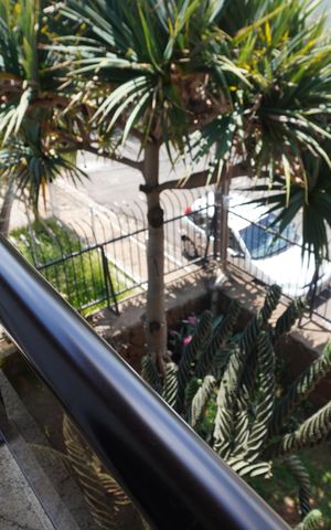 Casa para alugar com 1000m², 4 quartos e 3 vagasSacada
