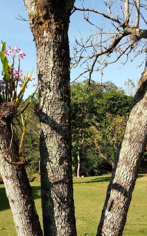 Casa de condomínio para alugar com 3500m², 5 quartos e 4 vagas Casa de condomínio para alugar com 3500m², 5 quartos e 4 vagasÁrea externa