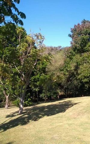 Casa de condomínio para alugar com 3500m², 5 quartos e 4 vagas Casa de condomínio para alugar com 3500m², 5 quartos e 4 vagasÁrea externa