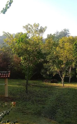 Casa de condomínio para alugar com 3500m², 5 quartos e 4 vagas Casa de condomínio para alugar com 3500m², 5 quartos e 4 vagasÁrea externa