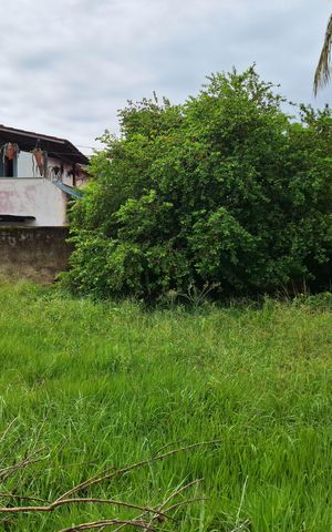 Casa à venda com 239m², 4 quartos e 2 vagas Casa à venda com 239m², 4 quartos e 2 vagasQuintal