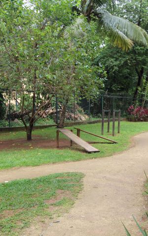 Apartamento à venda com 52m², 2 quartos e 1 vagaAcademia Externa e Área Verde