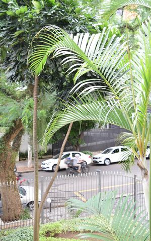 Apartamento à venda com 80m², 2 quartos e 1 vagaVista