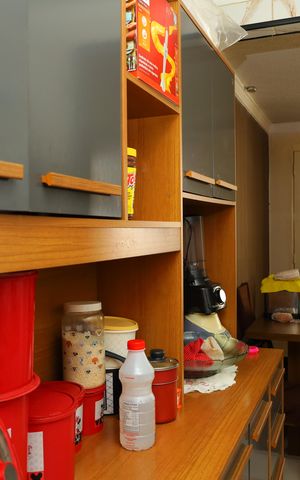 Apartamento para alugar com 58m², 2 quartos e sem vagaCozinha
