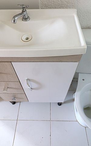 Apartamento à venda com 43m², 2 quartos e 1 vagaBanheiro 