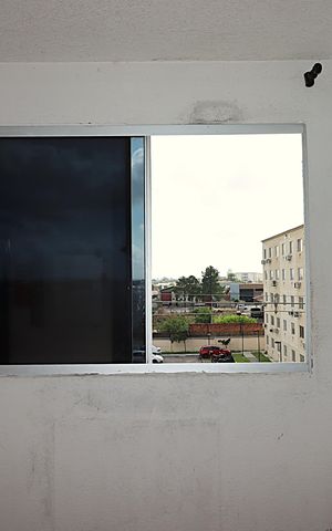 Apartamento à venda com 43m², 2 quartos e 1 vagaJanela da Sala