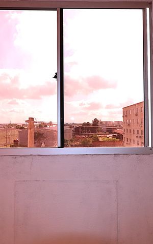Apartamento à venda com 43m², 2 quartos e 1 vagaJanela da Quarto 1