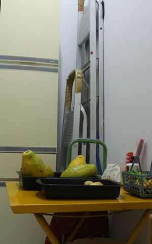 Apartamento à venda com 170m², 2 quartos e sem vagaDespensa