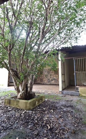Casa para alugar com 276m², 3 quartos e 2 vagas