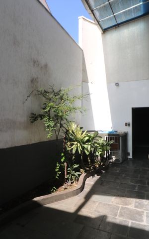 Casa para alugar com 300m², 3 quartos e 2 vagasQuintal