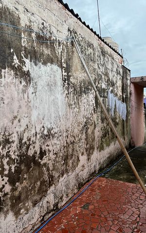 Casa para alugar com 220m², 2 quartos e 1 vaga Casa para alugar com 220m², 2 quartos e 1 vagaQuintal