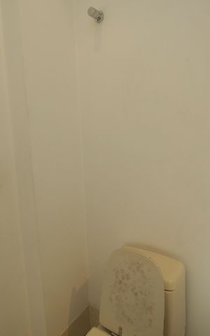 Apartamento à venda com 266m², 5 quartos e 3 vagasLavabo
