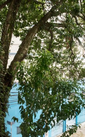 Apartamento à venda com 100m², 2 quartos e 1 vagaVista da Sala
