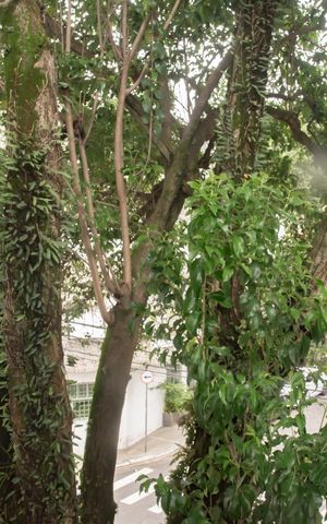 Apartamento à venda com 100m², 2 quartos e 1 vagaVista do Quarto 1