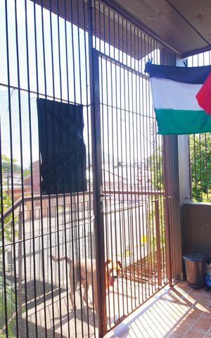 Casa à venda com 300m², 5 quartos e 2 vagasVaranda da Sala