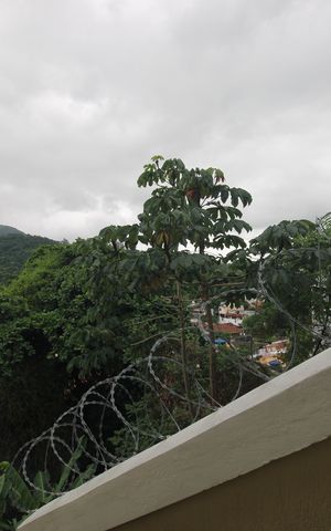 Casa de condomínio para alugar com 200m², 3 quartos e 2 vagasSuíte 1 - Vista