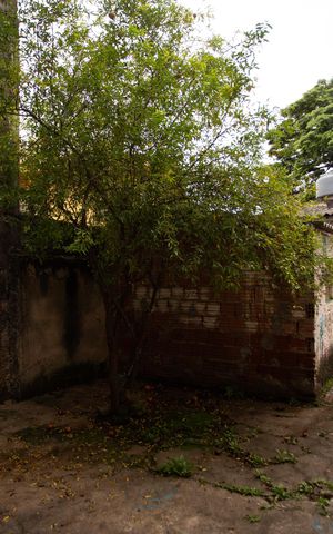 Casa à venda com 136m², 3 quartos e 1 vaga Casa à venda com 136m², 3 quartos e 1 vagaQUINTAL E ÁREA DE SERVIÇO