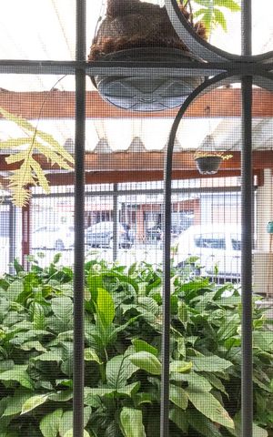 Casa à venda com 150m², 3 quartos e 1 vagaVista do Quarto 3