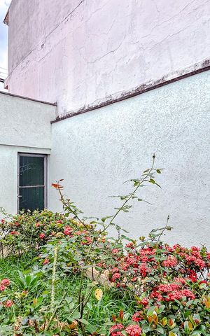 Casa à venda com 245m², 4 quartos e 2 vagasÁrea externa
