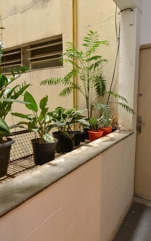 Apartamento à venda com 100m², 3 quartos e 1 vagaÁrea de Serviço