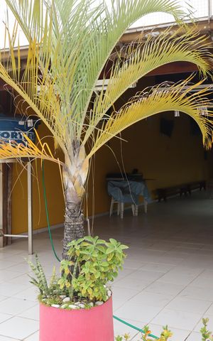 Casa à venda com 400m², 3 quartos e 4 vagasArea de Serviço e Varanda Gourmet 