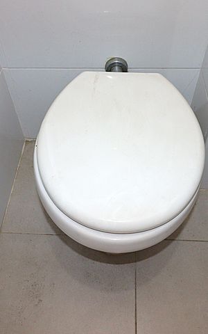 Apartamento à venda com 71m², 2 quartos e sem vagaBanheiro Auxiliar