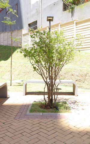 Apartamento para alugar com 35m², 2 quartos e sem vagaÁrea comum
