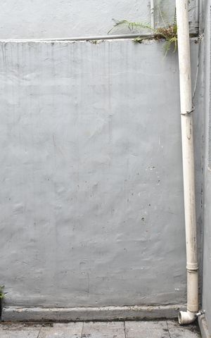 Casa para alugar com 140m², 3 quartos e sem vagaQuintal