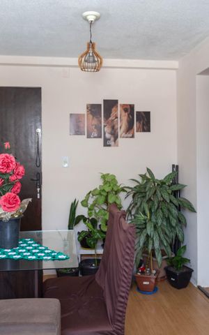 Apartamento para alugar com 56m², 2 quartos e 1 vaga Apartamento para alugar com 56m², 2 quartos e 1 vagaSala